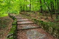 Winding stone steps with foliage horizontal Royalty Free Stock Photo